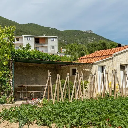 Panorama Holidays * Kastel Stari
